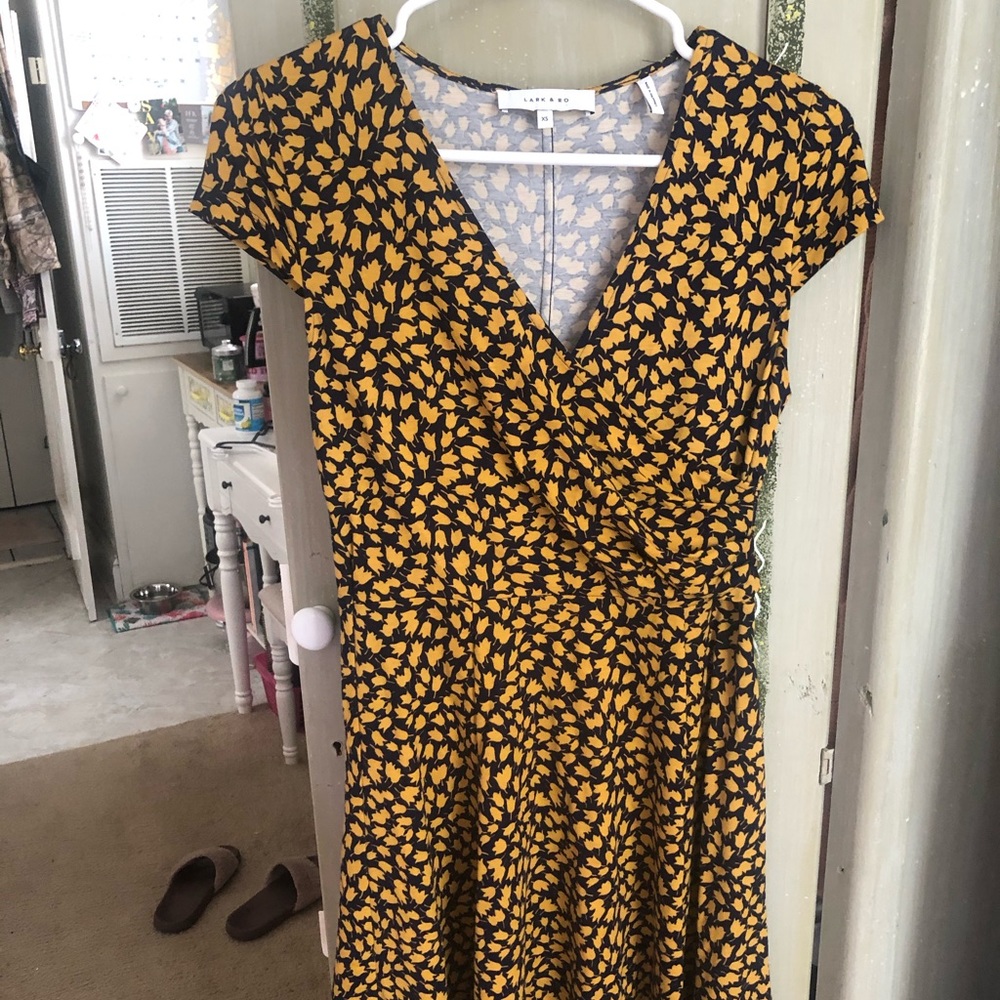 Lark and ro dress